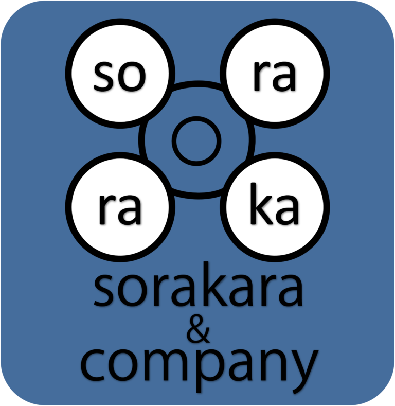 SORAKARA DRONE SCHOOL